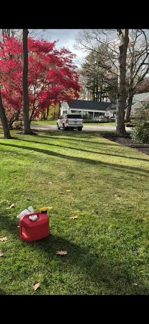 work photo from faithtreeservices.com