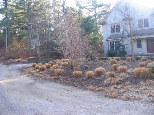 work photo from normslandscape.com