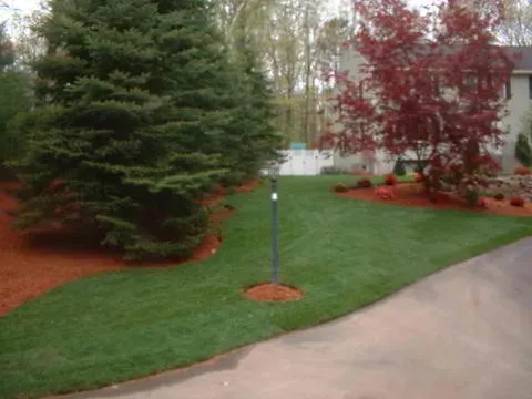 work photo from vpitollandscape.com