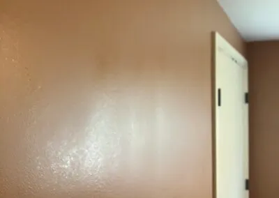 work photo from professionalpaintplus.com