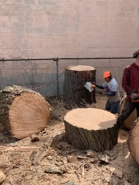 work photo from jhernandezlandscaping.com