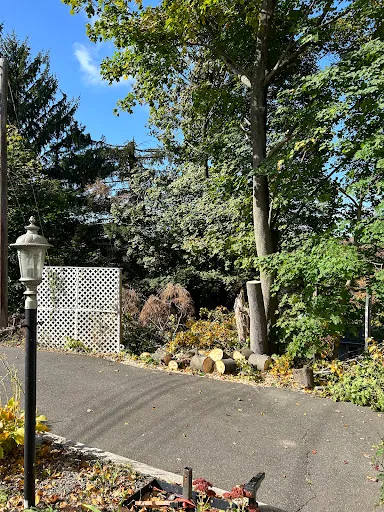 Highlander Tree Service work photo