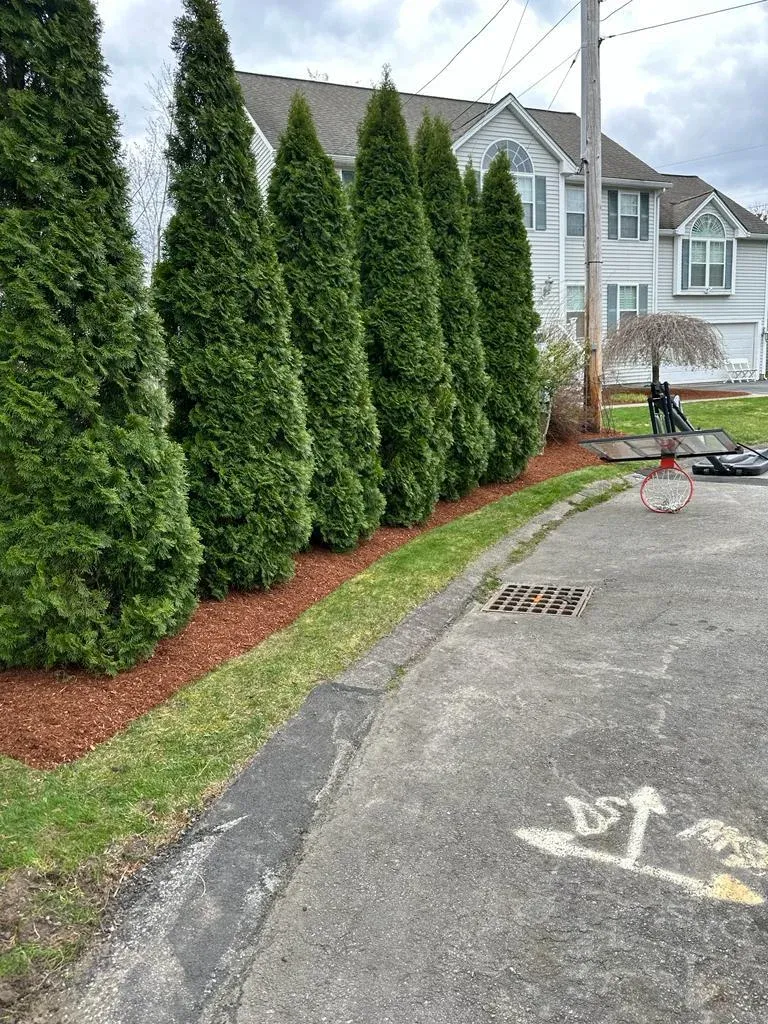 work photo from kjatreeserviceandlandscaping.com