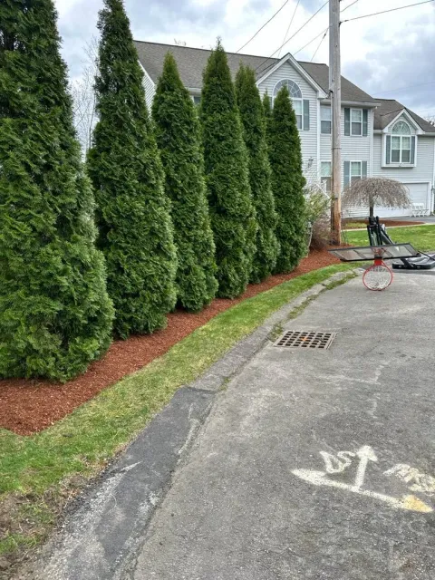 work photo from kjatreeserviceandlandscaping.com