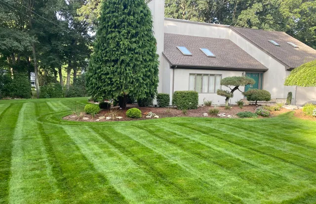 DelPadre Landscaping work photo