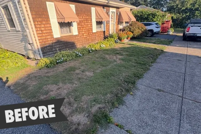 Property in need of lawn renovation during summer heat.