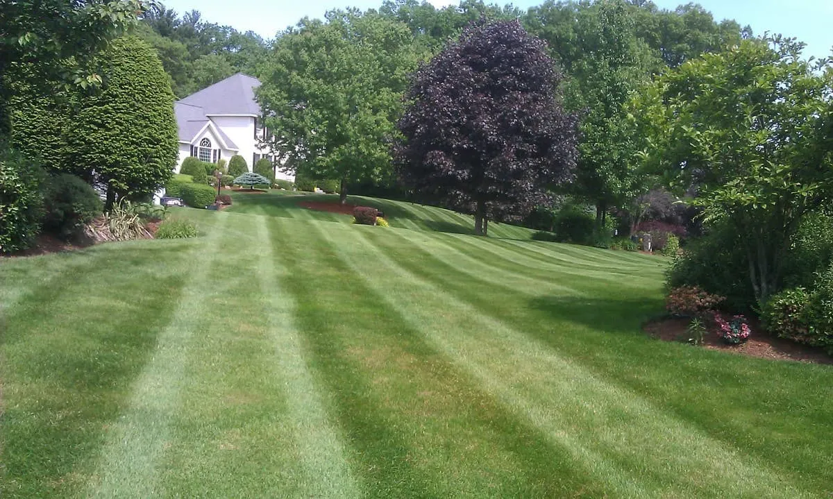 work photo from randalllandscaping.com
