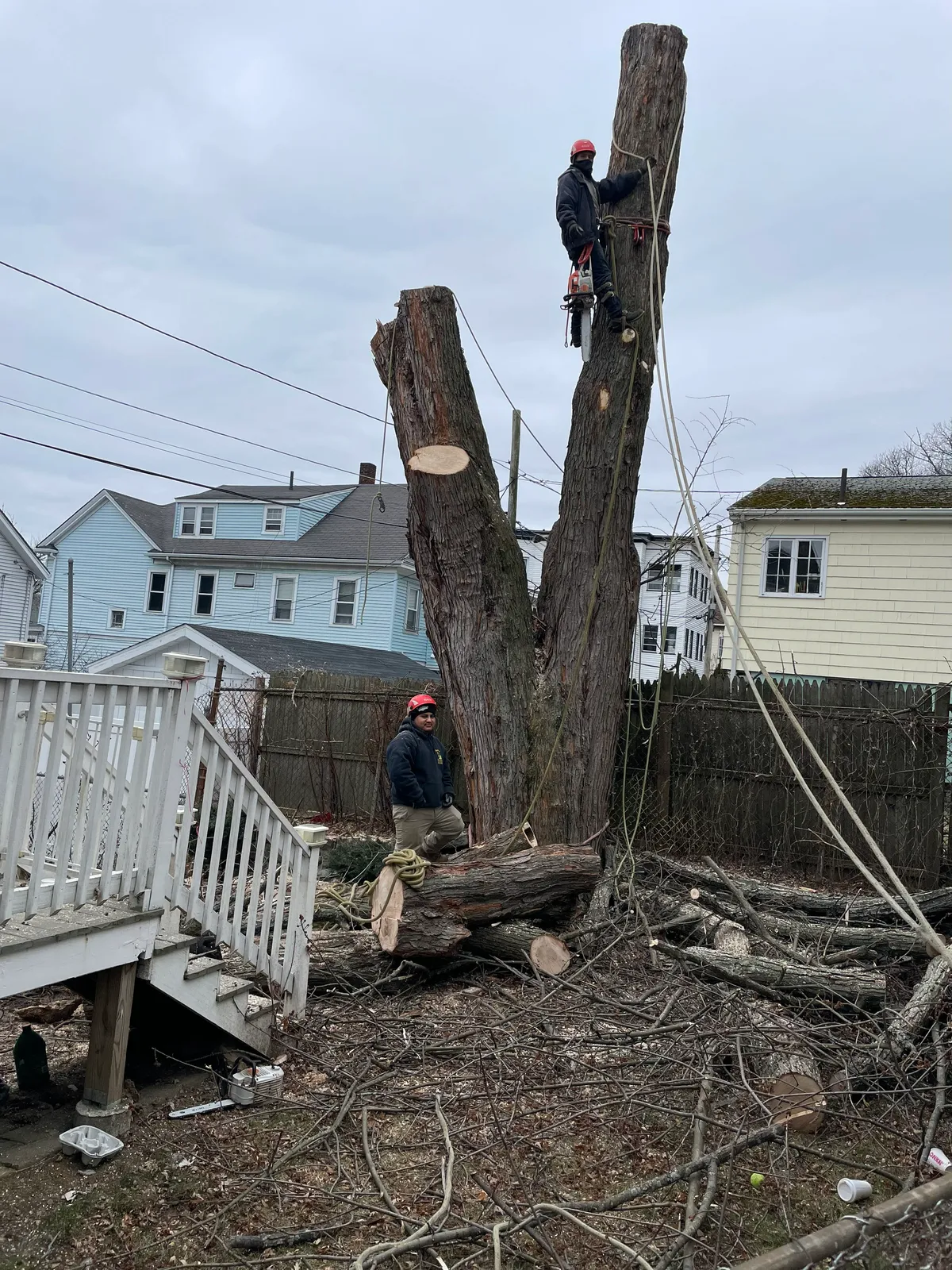 work photo from Google listing