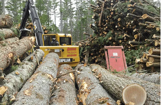 work photo from andersontimberharvesting.com