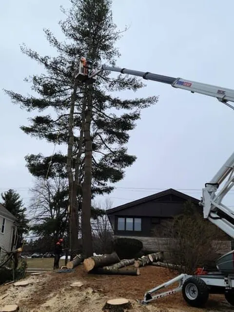 work photo from webstertree.net