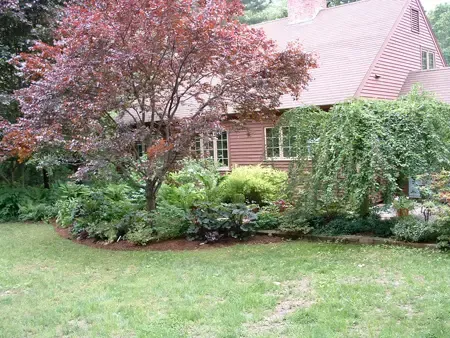 work photo from hilltowntreeandgarden.com