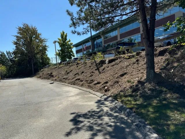 work photo from ramirezinternationallandscaping.bestprosolution.com