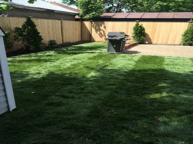 Sod Installation