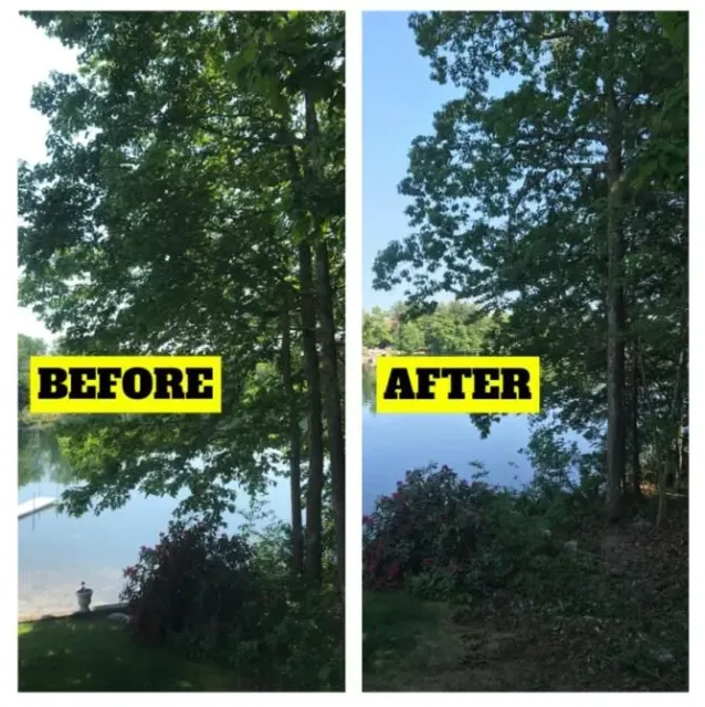 work photo from jptreeservices.net