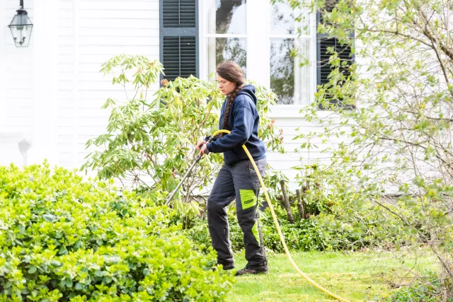 work photo from arborclimb.com