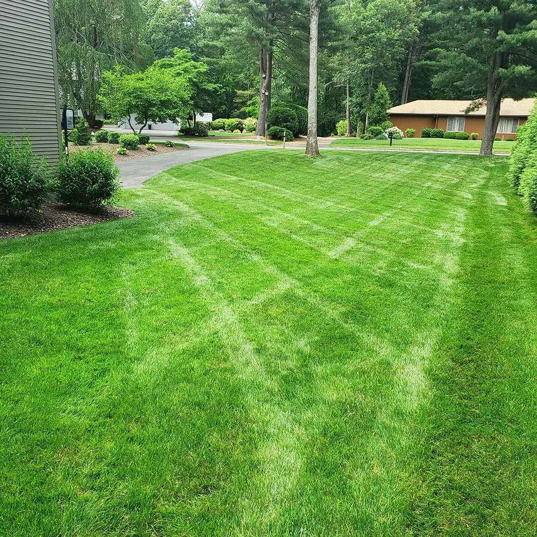 The best lawn care in Massachusetts