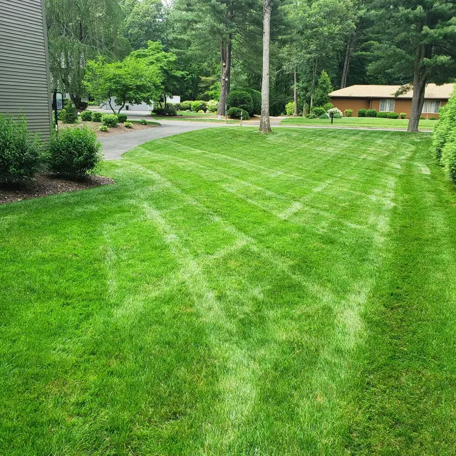 The best lawn care in Massachusetts