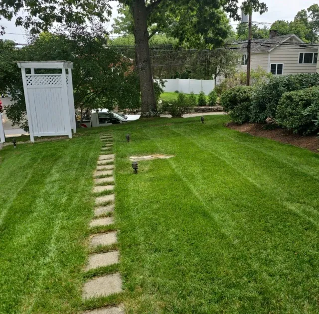 Escalante Landscaping Services LLC work photo