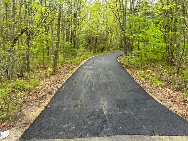 A road going through a forest with trees on both sides