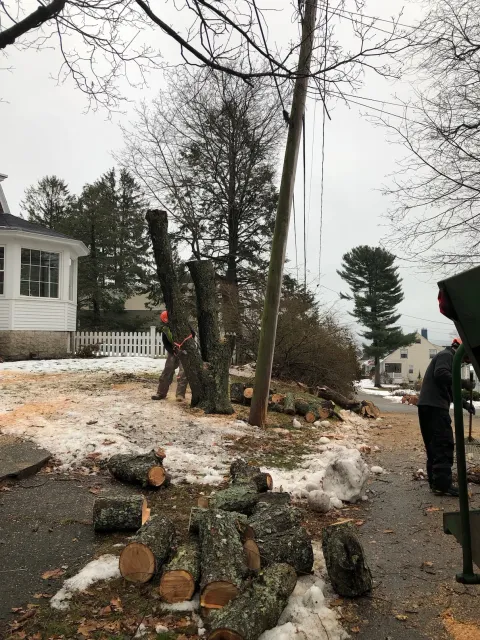 work photo from 207landscaping.com