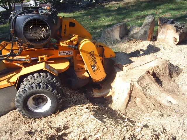 work photo from fitchhillstumpgrinding.com