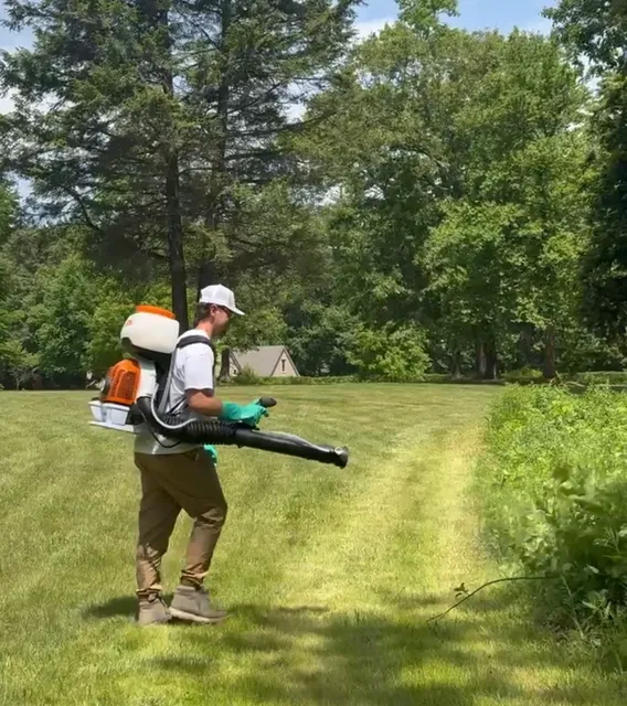 The Mosquito Man work photo