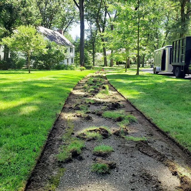 Simply Green lawn care and edging services