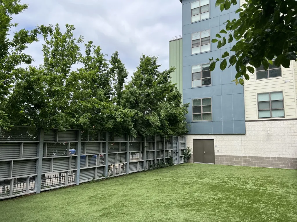 A building with blue panels, surrounded by trees and metal fencing, overlooks a green grassy area under an overcast sky.