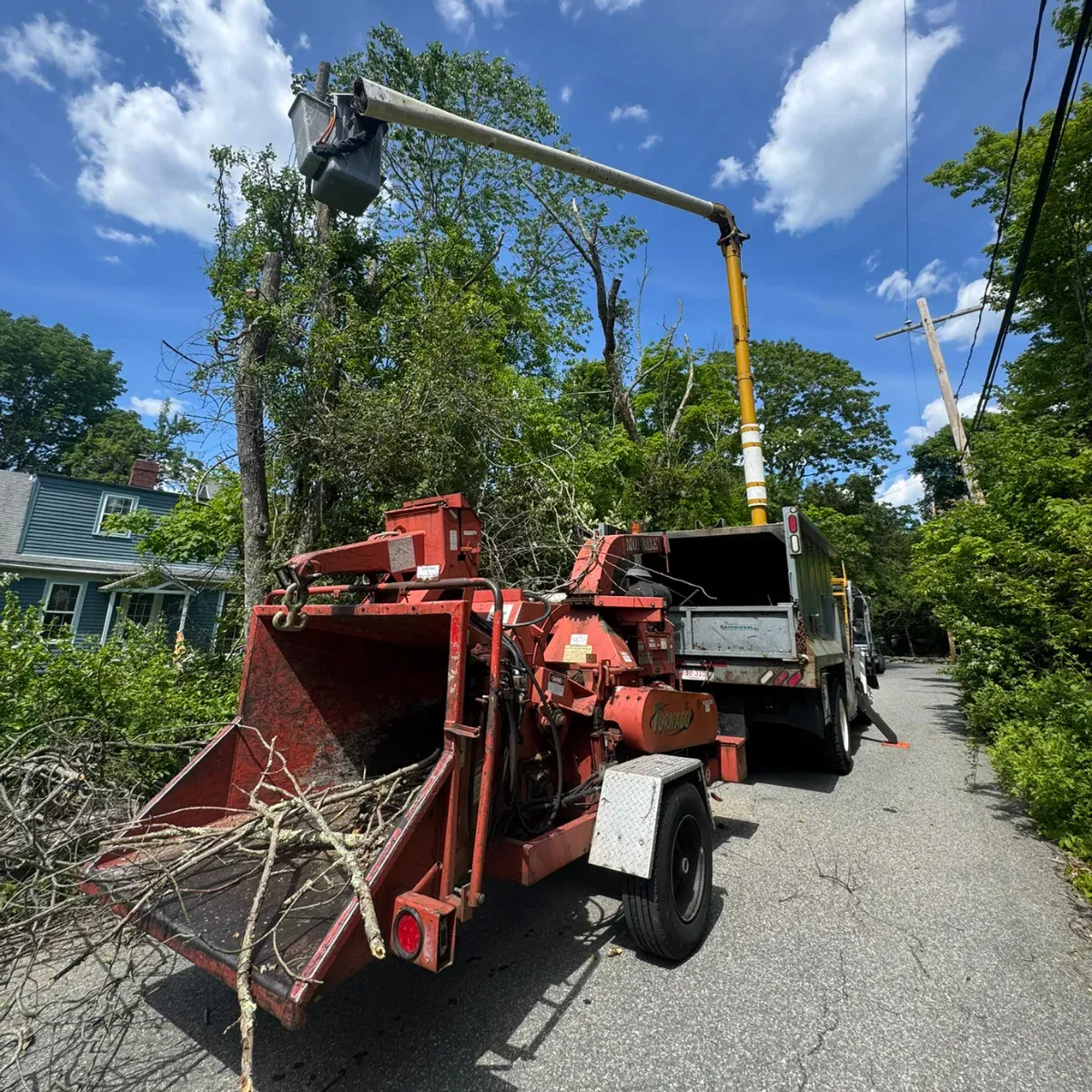 work photo from dovercountrytrees.com