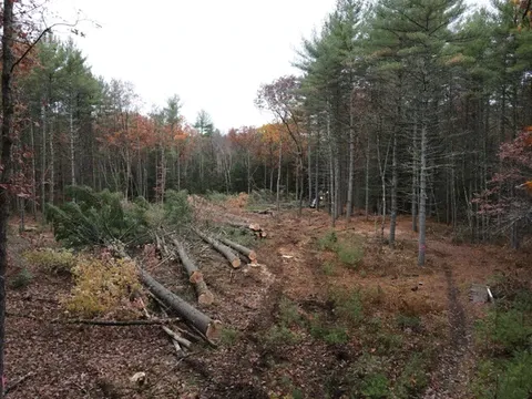 work photo from hopkintonforestry.com