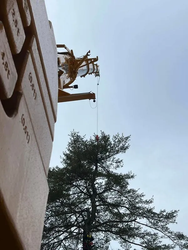 Crane Aided Removal