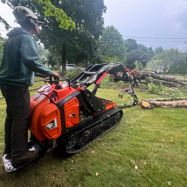 work photo from dovercountrytrees.com