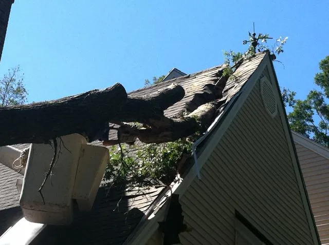 work photo from rttreeremoval.com
