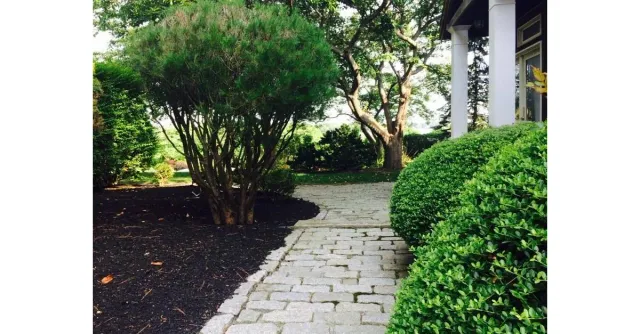 By The Yard Landscaping researched project photo