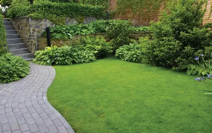 Ed Conway Landscaping work photo