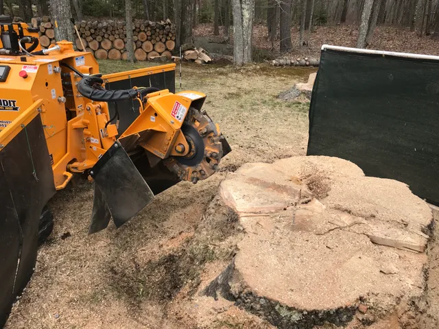 Sylvester Stump Grinding work photo