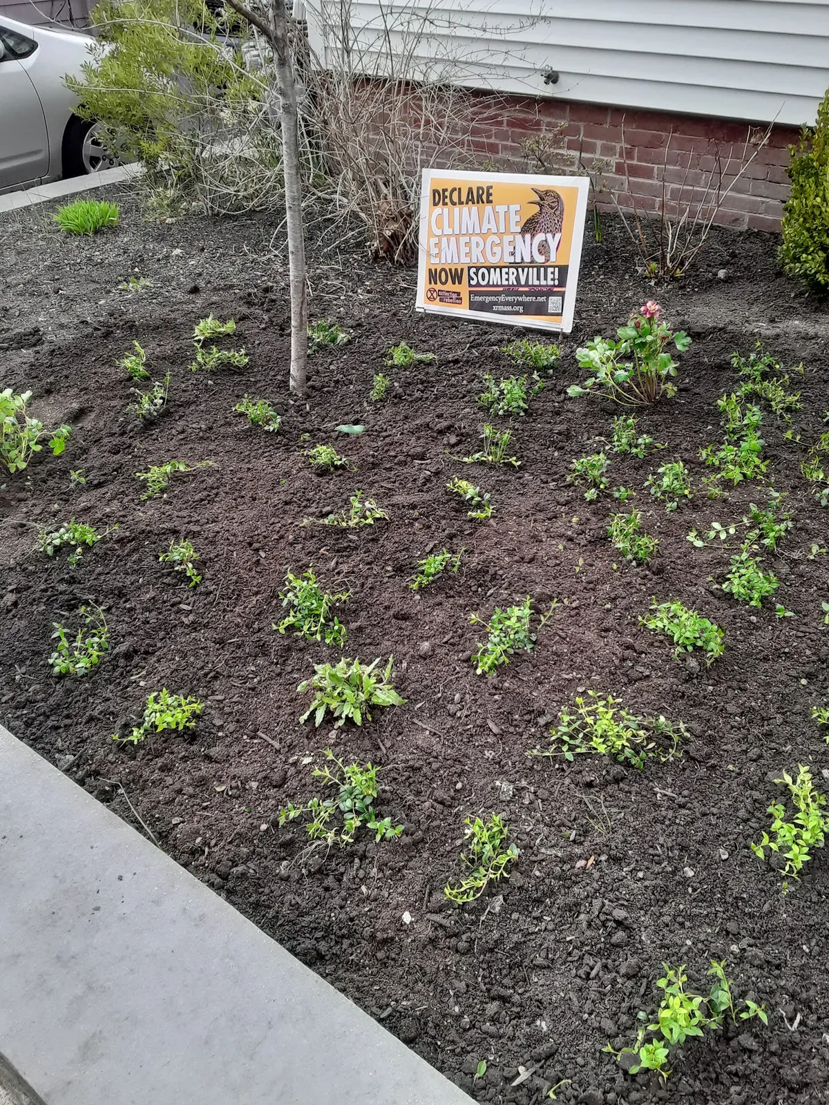 Connolly Bros Landscaping