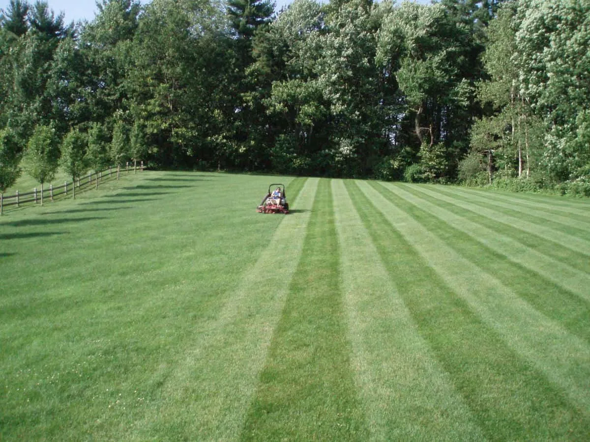 work photo from randalllandscaping.com