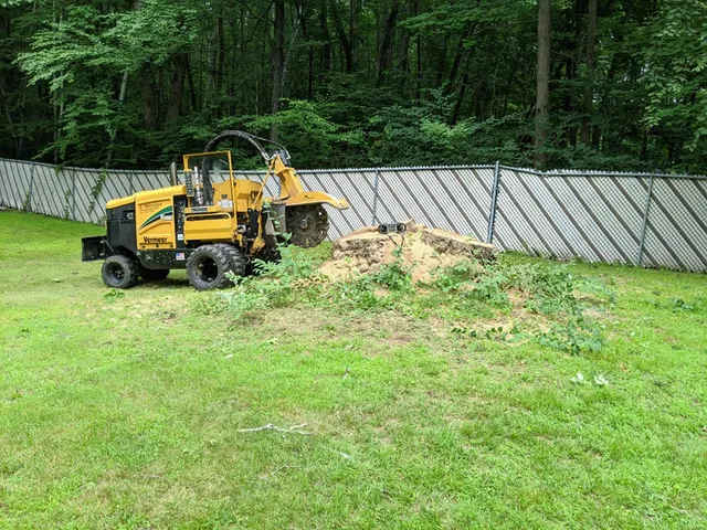 work photo from jmessinastumpgrindingnh.com