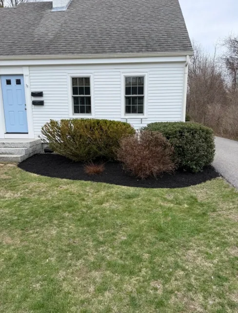 A house with white siding and a gray shingled roof, featuring a light blue front door, two black mailboxes, two windows, and a landscaped front yard with bushes, mulch, and a walkway.