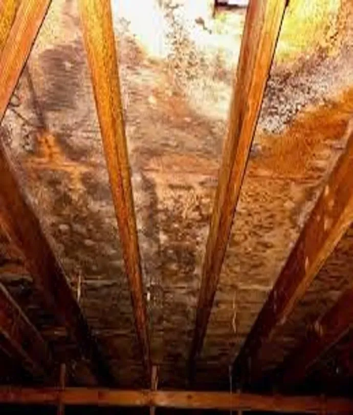 work photo from advancedbuildinginspectors.com