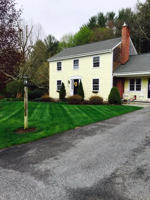 Front Yard Lawn Transformation