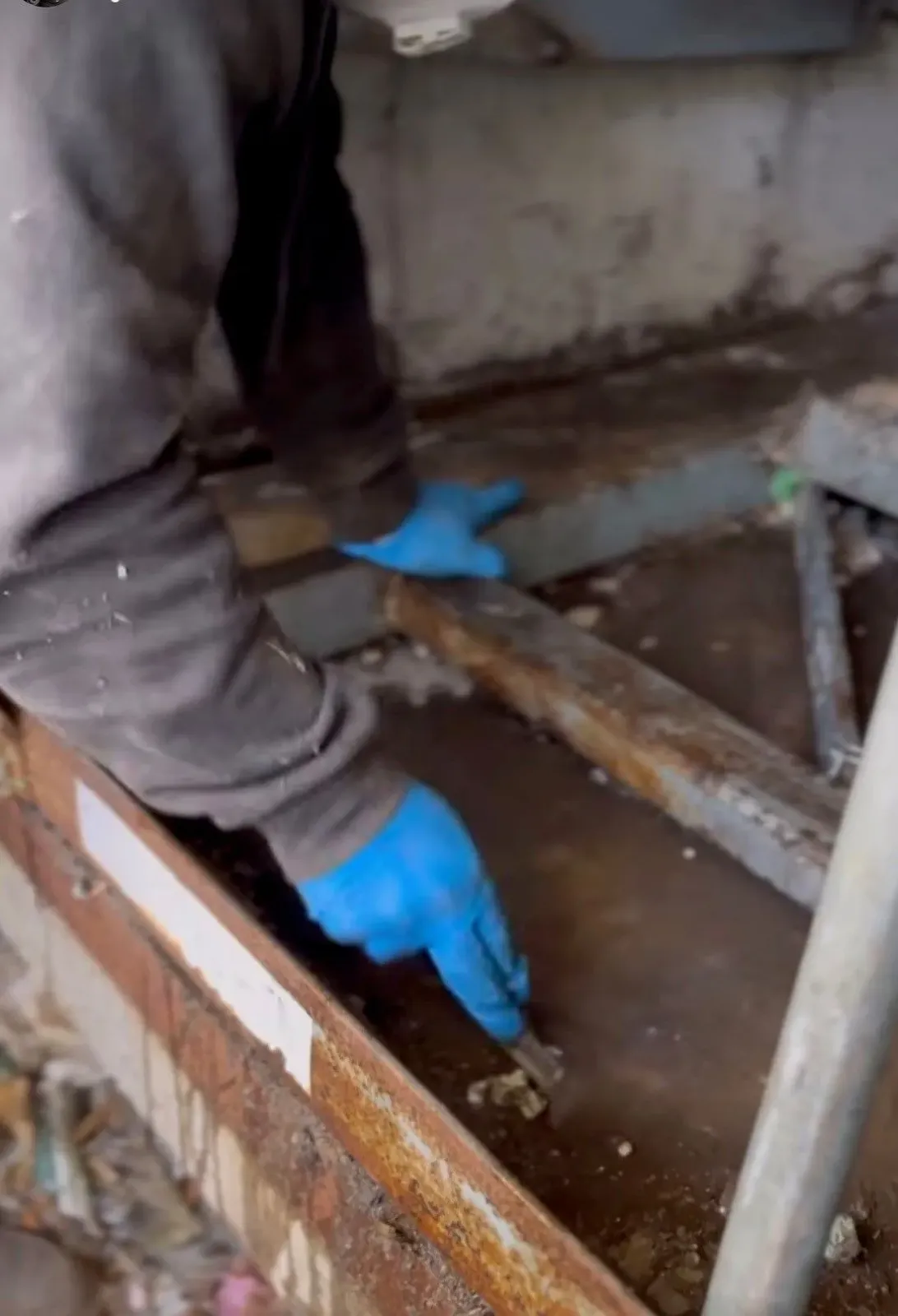 A person wearing blue gloves is cleaning a rusty pipe