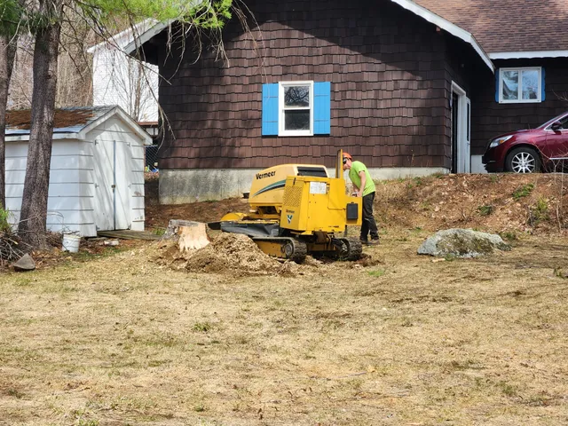 Mike's Stump Grinding work photo