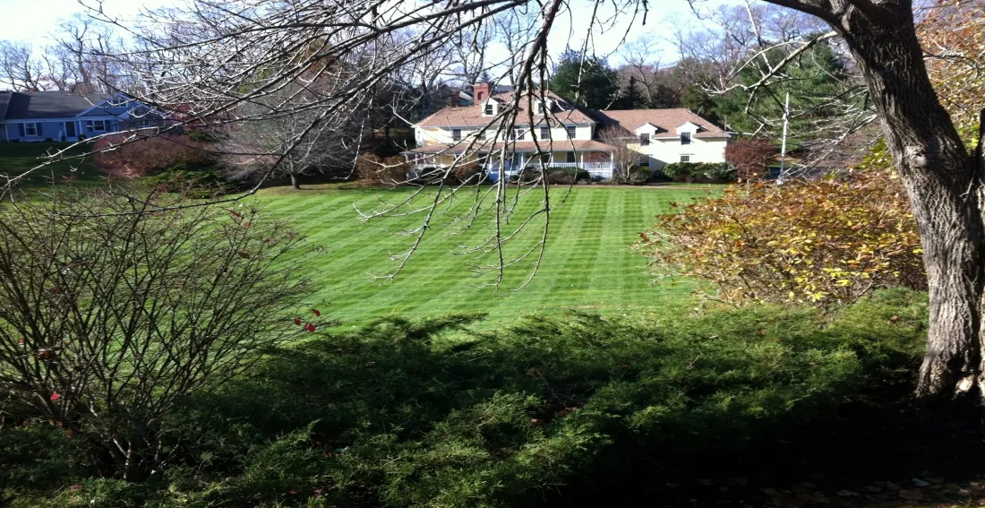 Earth Landscape - iGreenCare