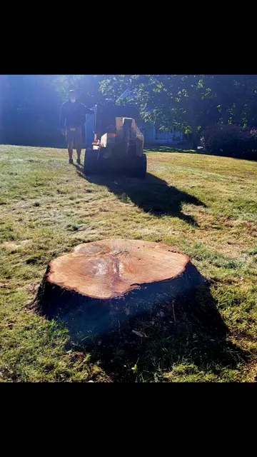 Another great job completed by the Maineland Stump Grinding team in Scarborough! As always, we appreciate your business. #smallbusiness #familybusiness #stumpgrindinginmaine #mainelandstumpgrinding #stumps #stumpsgone #stumpgrinding #stump #stumpremoval #stumpgrindingsouthernmaine