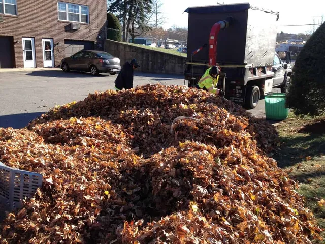 work photo from randalllandscaping.com