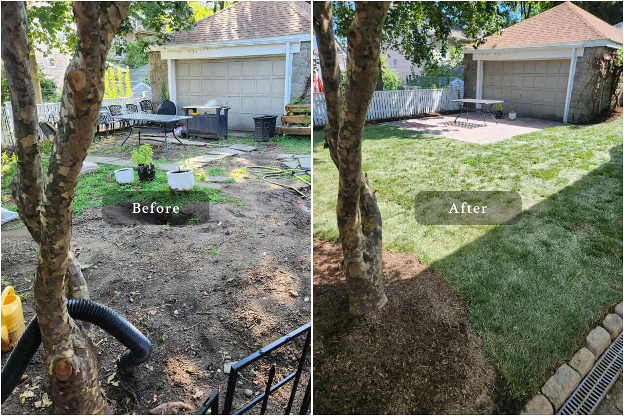 appleton st Landscaping