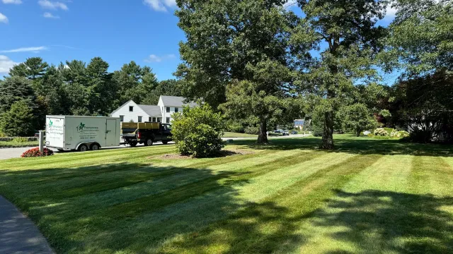 Lawn mowed in stripes; white trailer and truck on a sunny day in front of a house.