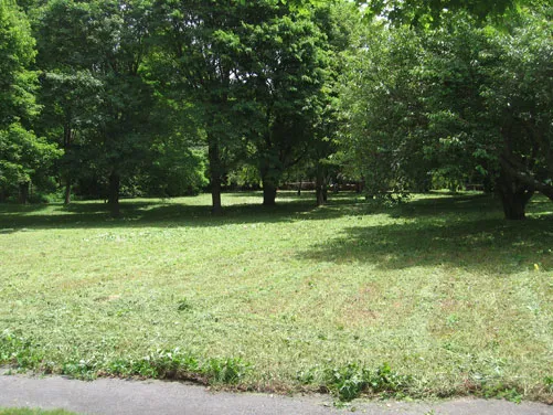 work photo from normslandscape.com
